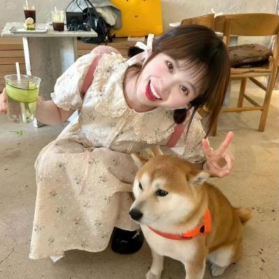 战场日记